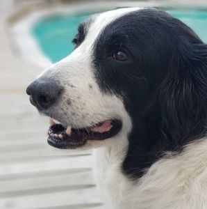 Meet your Posher, Norma